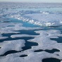 Arctic Ocean Economy
