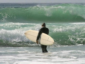 Surf's up!